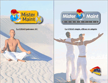 Tablet Screenshot of mistermaint.com